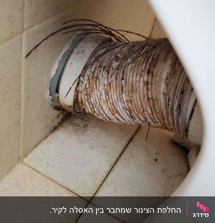 צינור ביוב מחובר לאסלה עם לכלוך